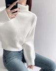 Neve Knit Turtleneck Sweater