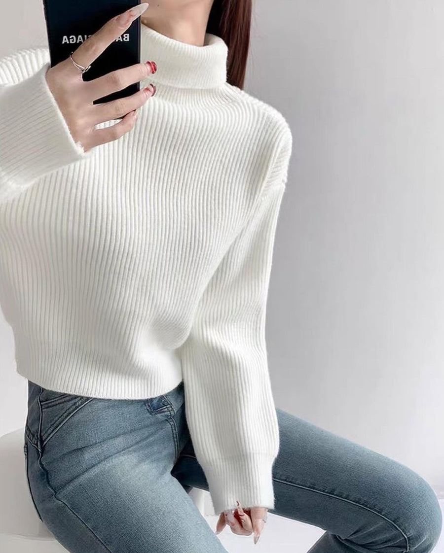 Neve Knit Turtleneck Sweater