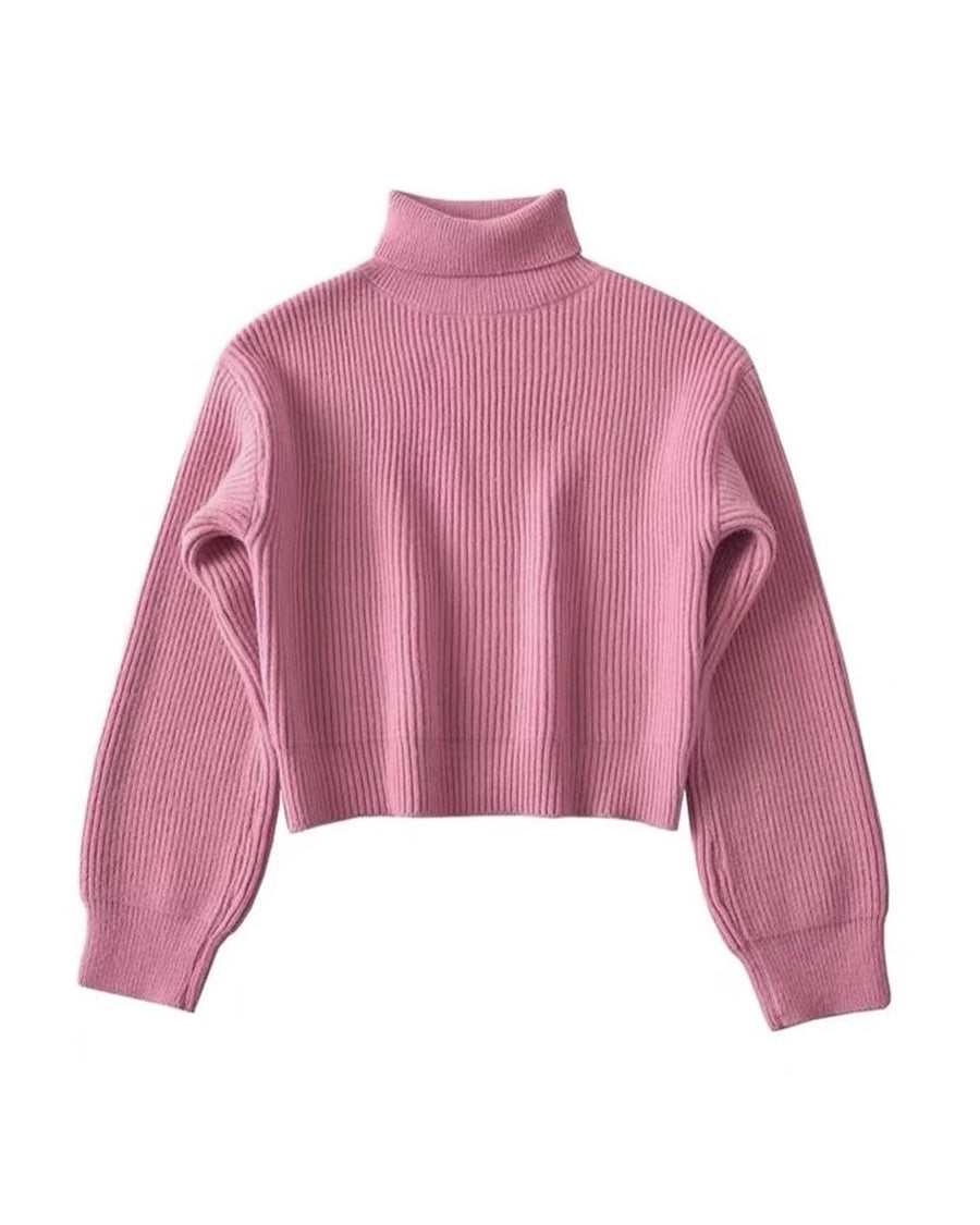 Neve Knit Turtleneck Sweater