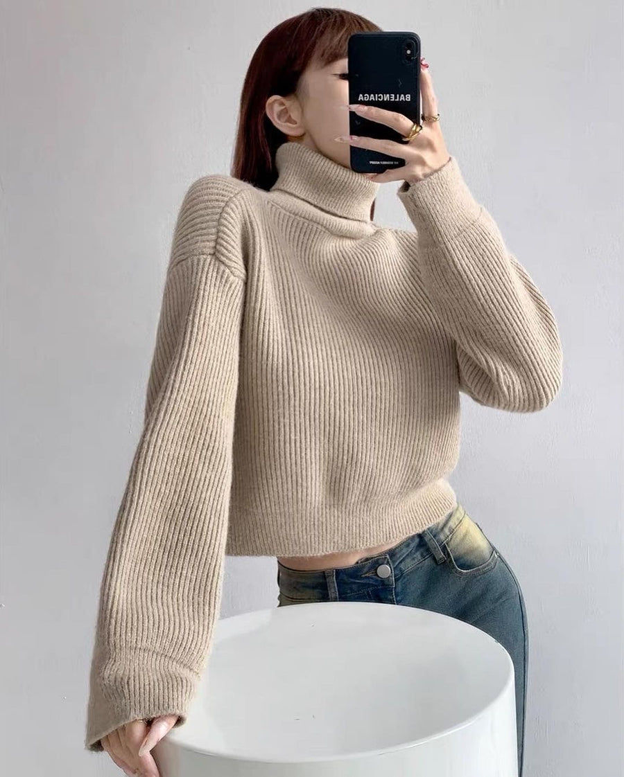 Neve Knit Turtleneck Sweater