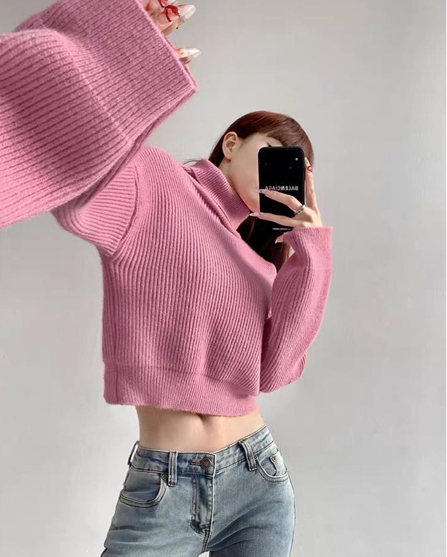 Neve Knit Turtleneck Sweater