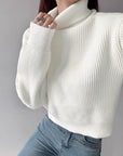 Neve Knit Turtleneck Sweater