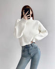 Neve Knit Turtleneck Sweater