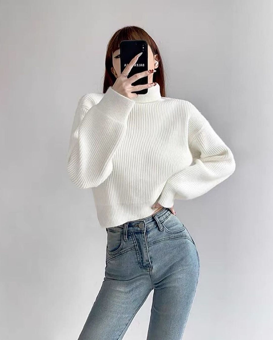 Neve Knit Turtleneck Sweater