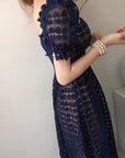 Navie Lace Dress